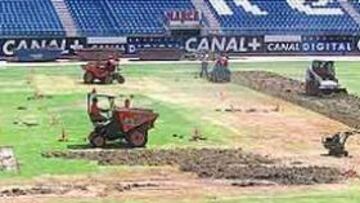 <b>REPLANTADO. </b>En 2001, otro concierto obligó a cambiar el césped.