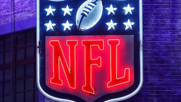 Como parte de las actividades a realizar durante el Draft 2020, el cual se realizar&aacute; de manera virtual, la NFL decidi&oacute; organizar una recaudaci&oacute;n de fondos.