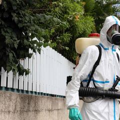 Coronavirus y dengue: ¿qué es la sindemia o pandemia sinérgica que temen los médicos?