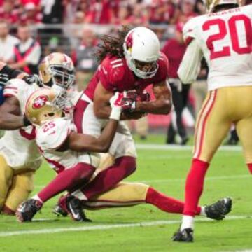 Larry Fitzgerald WR de Arizona Cardinals.