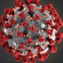 La variante más infecciosa del coronavirus que eliminó a sus rivales