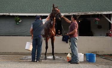 Multitud de espectadores observan el lavado al caballo Journalism.