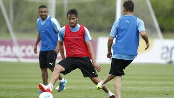 &Aacute;lvaro Gonz&aacute;lez asoma como titular para enfrentar a Chile el pr&oacute;ximo martes. 