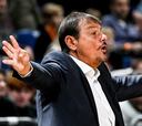 La adaptación al Panathinaikos de Ataman: “No sería fácil aunque fueras Curry o LeBron”