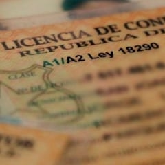 Revelan quiénes deberán renovar su licencia de conducir en 2025