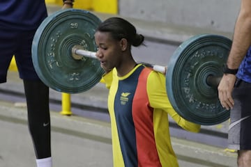 La Selección Colombia de voleibol femenina se prepara para el Preolímpico que se disputará en el Coliseo El Salitre del 6 al 9 de enero. Se enfrentará en sistema de todos contra todos a Argentina, Perú y Venezuela. 