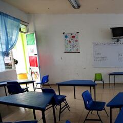 Certificado de Escolaridad: cómo tramitarlo vía Mi ANSES y pasos a seguir