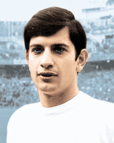 El delantero argentino jugó con el Real Madrid en la temporada 1966-67 y entre 1968 y 1972. Fue cedido al Mónaco en 1967. Con el Real Madrid, disputó 68 encuentros y marcó 13 goles. Con el Mónaco, jugó 12 partidos y marcó 2 goles. Consiguió dos Ligas y una Copa del Rey con el Madrid. 