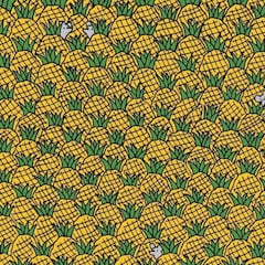 Reto visual: ¿Puedes encontrar los cuatro elotes escondidos entre las piñas?