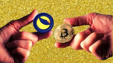 El desplome de Terra y Luna: la espiral de la muerte de las criptomonedas