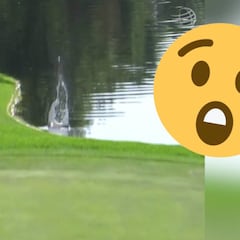 El inexplicable suceso de una bola que iba al agua y que tiene 'loco' a todo Twitter...