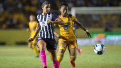 Tigres y Monterrey disputar&aacute;n Final Regia en el Apertura 2019