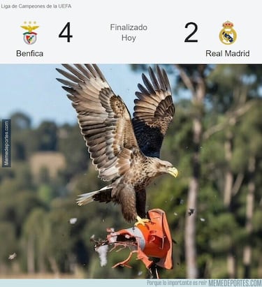 Mourinho y el Real Madrid protagonizan los mejores memes del sorteo