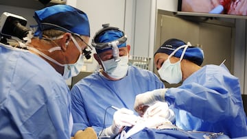 19/04/2022 Cirugías y talleres de estética en directo y técnicas 3D en quirófano, platos fuertes de la cita, que cuenta con los principales referentes mundiales de esa especialidad en auge.
SALUD
FUNDACIÓN IMO