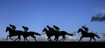 Contraluz en la salida de la Fortress Home Insurance Handicap Hurdle Race en Wicanton, Inglaterra.