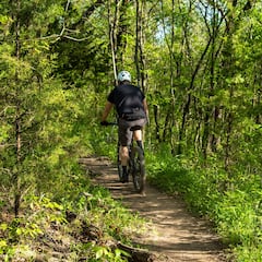 Cyclist dies in Brazil after swallowing bee while training