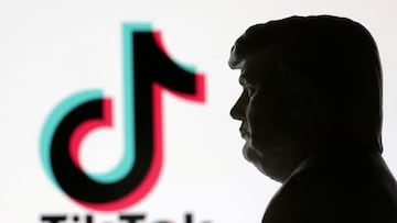 President Donald Trump’s son is being tipped for an appointment to the board of a majority U.S.-owned TikTok.