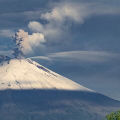 Volcán Popocatépetl, resumen 1 de febrero | Explosiones y actividad volcánica: última hora