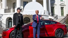 Elon Musk warns Trump that his tariff war could lose him millions with Tesla