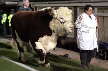 La mascota del Hereford United pasea por el césped del estadio antes del partido de la FA Cup ante el Leeds.