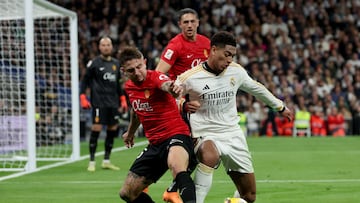 Maffeo: “Bellingham es un falso”