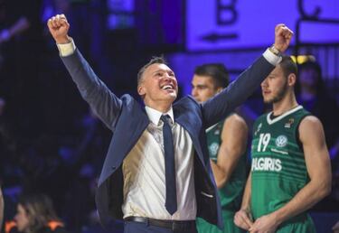 Bayern, Efes, AEK, Zalgiris, Mónaco... se llevan sus Copas