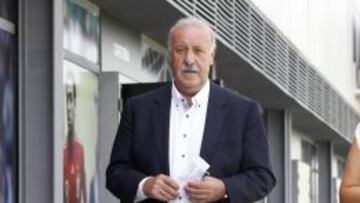 Vicente del Bosque