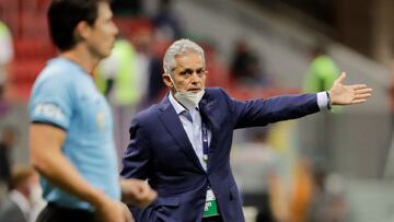 Reinaldo Rueda, DT de la Selección Colombia, realizó un balance de lo que fue la Copa América donde terminó tercero. Elogió a Luis Díaz y destacó la armonía