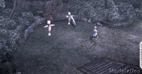 Haunting Ground