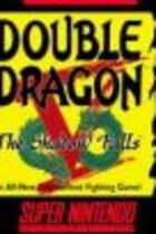 Carátula de Double Dragon V: The Shadow falls