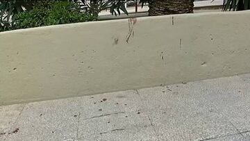 Apuñalados dos seguidores del PSG al lado del Camp Nou