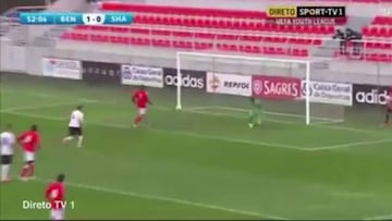 ¡La quiso picar como Abreu y terminó haciendo el ridículo!