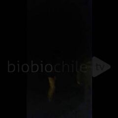 Arturo Vidal: "Espósame, pero te vas a cagar a todo Chile"