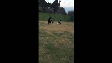 El hijo de Maradona le dio sus primeros toques a la pelota