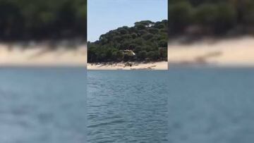 Incendio en el Pantano donde pasó el domingo Cristiano