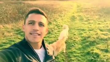 Alexis celebra la Navidad jugando con sus mascotas