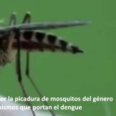 ¿Qué es el zika y por qué afectaría a los JJOO de Río?