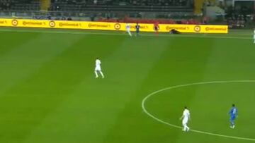 Linesman takes out Vicente del Bosque during Italy-Spain