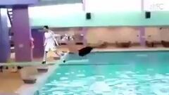 Cristiano Ronaldo causes havoc felling Van Gaal, knocking down buildings and scaring cats