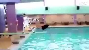 Cristiano Ronaldo causes havoc felling Van Gaal, knocking down buildings and scaring cats