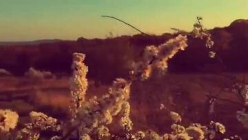 El místico video que publicó Alexis Sánchez en Instagram