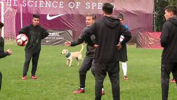 Así se vivió la primera práctica de los 11 más rápidos de Nike