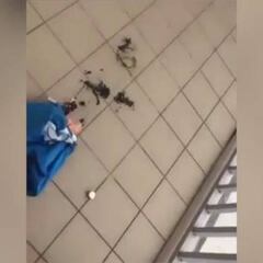 Un aficionado del Nápoles quema la camiseta de Higuaín