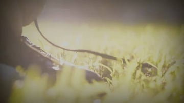 "Clubes, nuestra historia": el tráiler de la nueva temporada