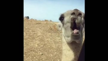 El desconocido lado romántico de Álvaro Morata