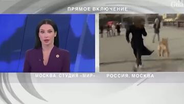 El ‘ataque’ de un perro durante una conexión en Ucrania que dejó así a la presentadora