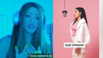 Acusan de plagio a la BZRP Music Sessions #53 de Shakira: atentos al estribillo en ambas canciones