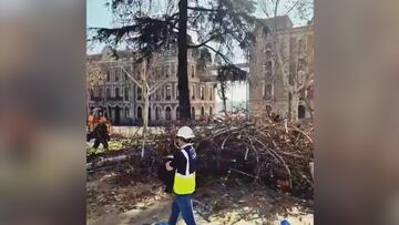 Comienza la tala de árboles protegidos por la UNESCO en Atocha por la ampliación de la línea 11 de Metro