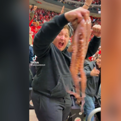 Un hombre aparece con un pulpo en la grada y lo que sucede no tiene desperdicio: alucinen
