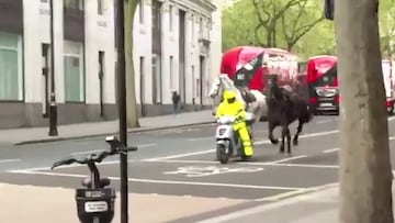 Caos en el centro de Londres: cuatro heridos tras escaparse varios caballos